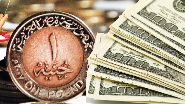 آخر تحديث للدولار في البنك الوطني اليوم